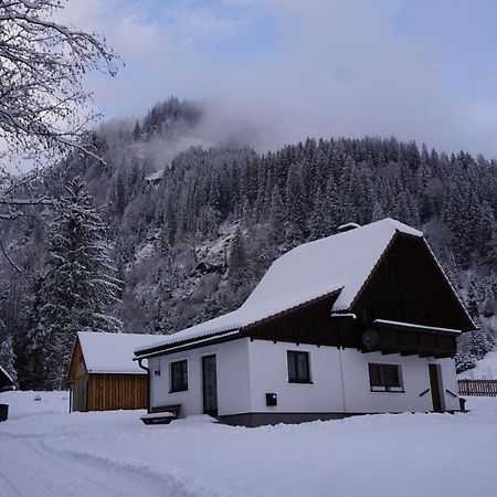 Willa Haus Cilli Donnersbachwald Zewnętrze zdjęcie